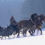 Nadine 2023 Komplett Saniert Дом отдыха *