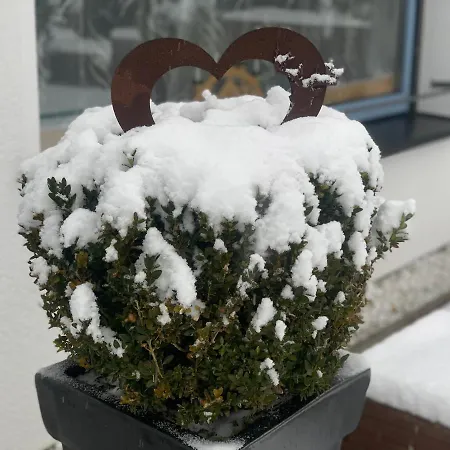 Nyaraló Nadine 2023 Komplett Saniert