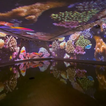 Nadine 2023 Komplett Saniert Ferienhaus *