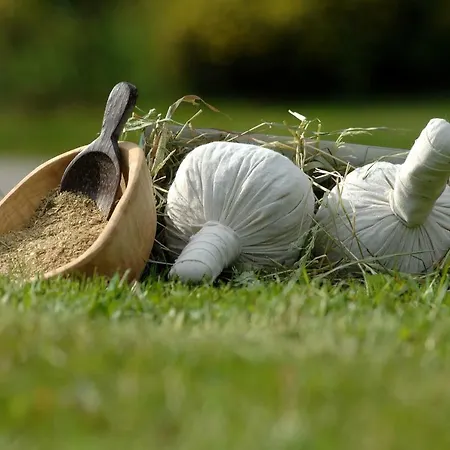 Nadine 2023 Komplett Saniert *