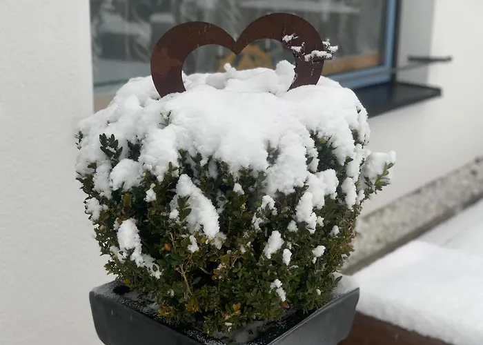 Ferienhaus Nadine 2023 Komplett Saniert