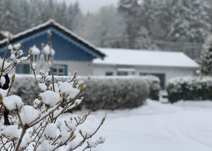 Nadine 2023 Komplett Saniert Ferienhaus Bad Brambach