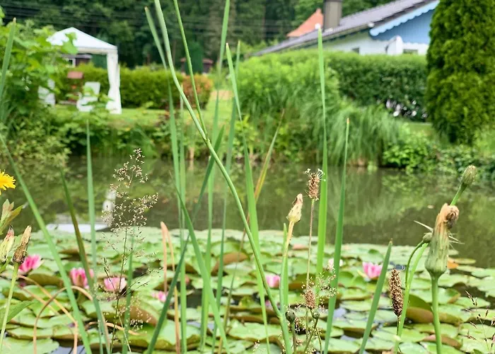 Nadine 2023 Komplett Saniert Bad Brambach