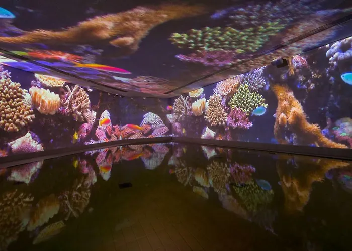 Nadine 2023 Komplett Saniert Ferienhaus *