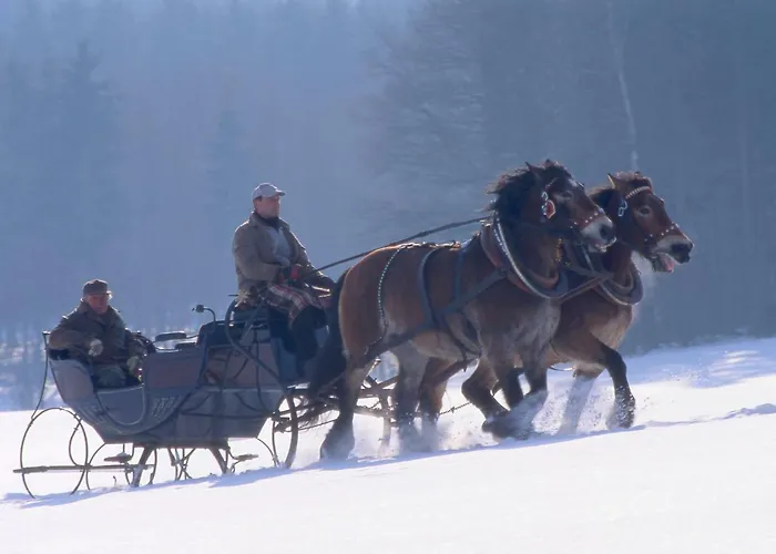 Nadine 2023 Komplett Saniert Ferienhaus *