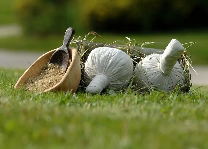 Nadine 2023 Komplett Saniert *