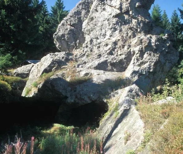 Nadine 2023 Komplett Saniert